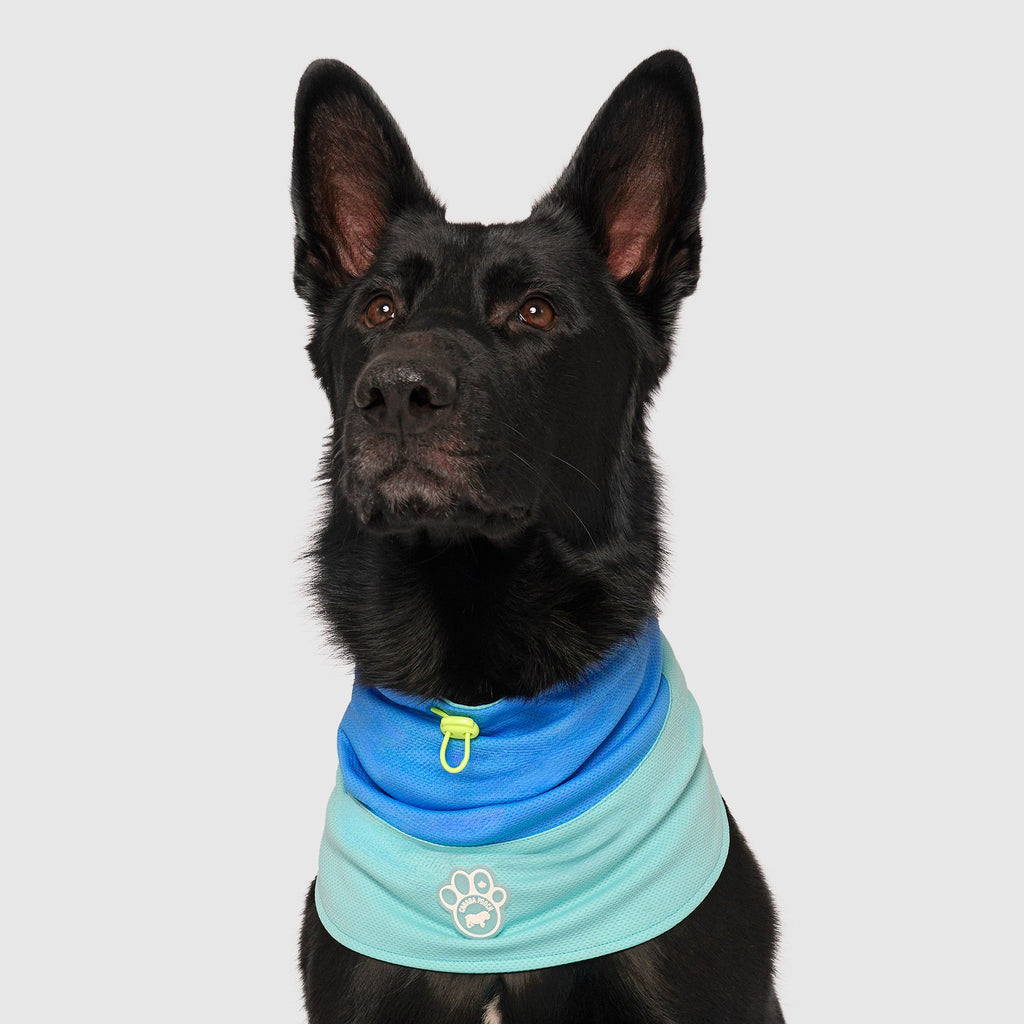 Max Chill Cooling Snood