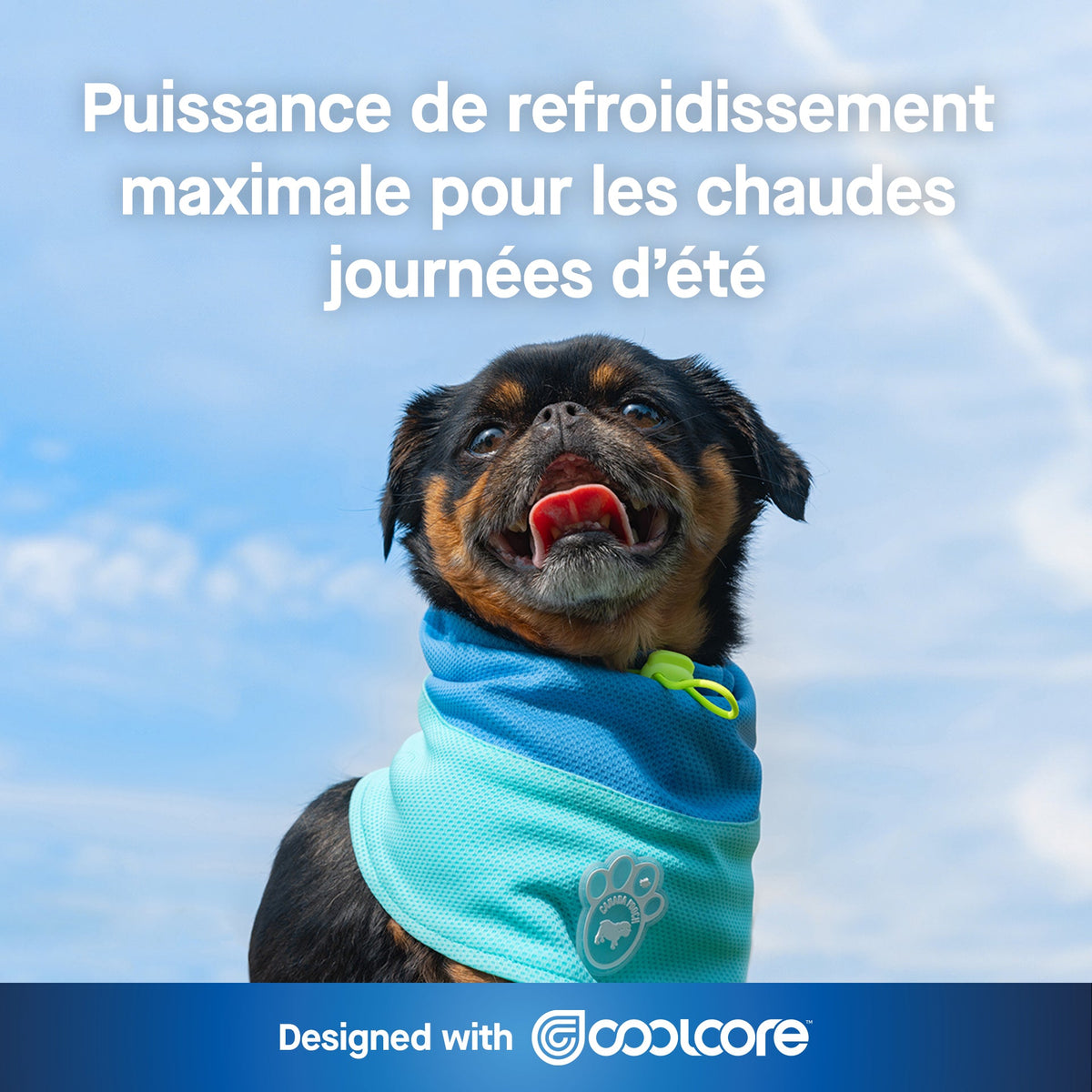 Max Chill Cooling Snood