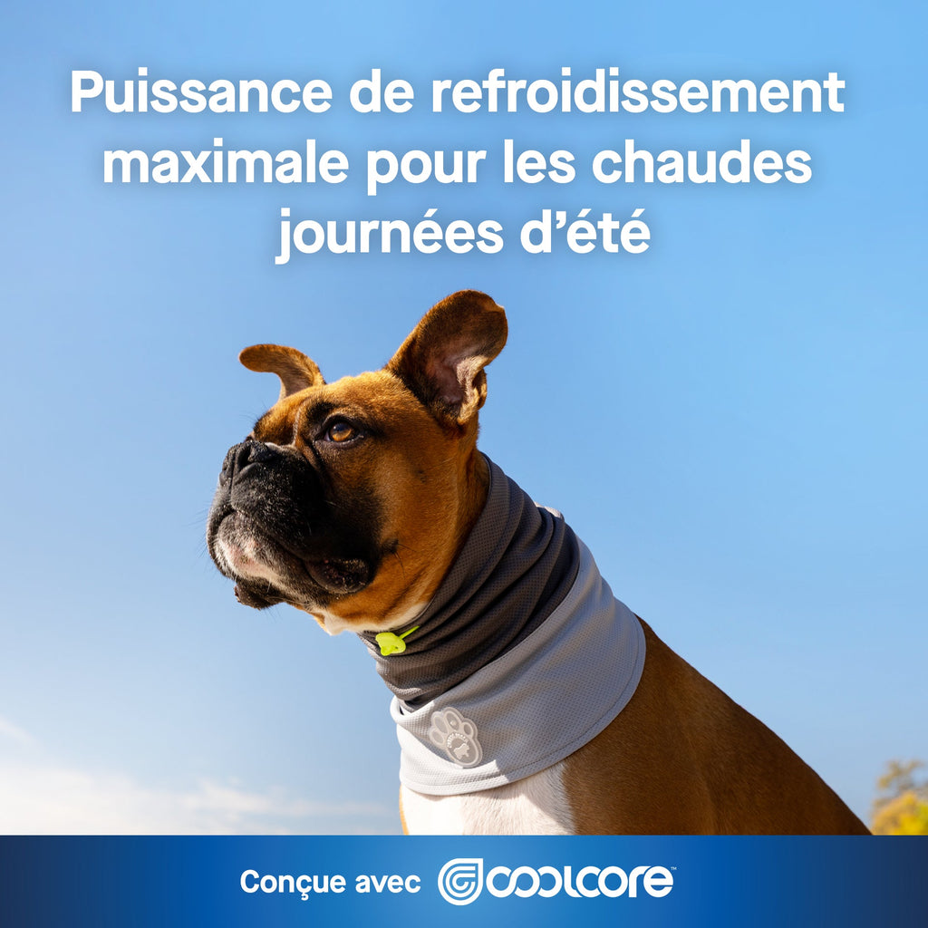 Max Chill Cooling Snood
