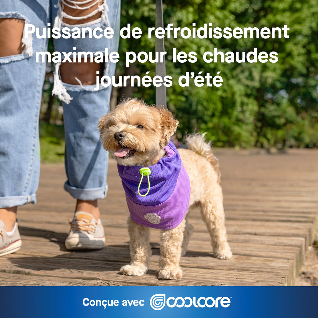 Max Chill Cooling Snood