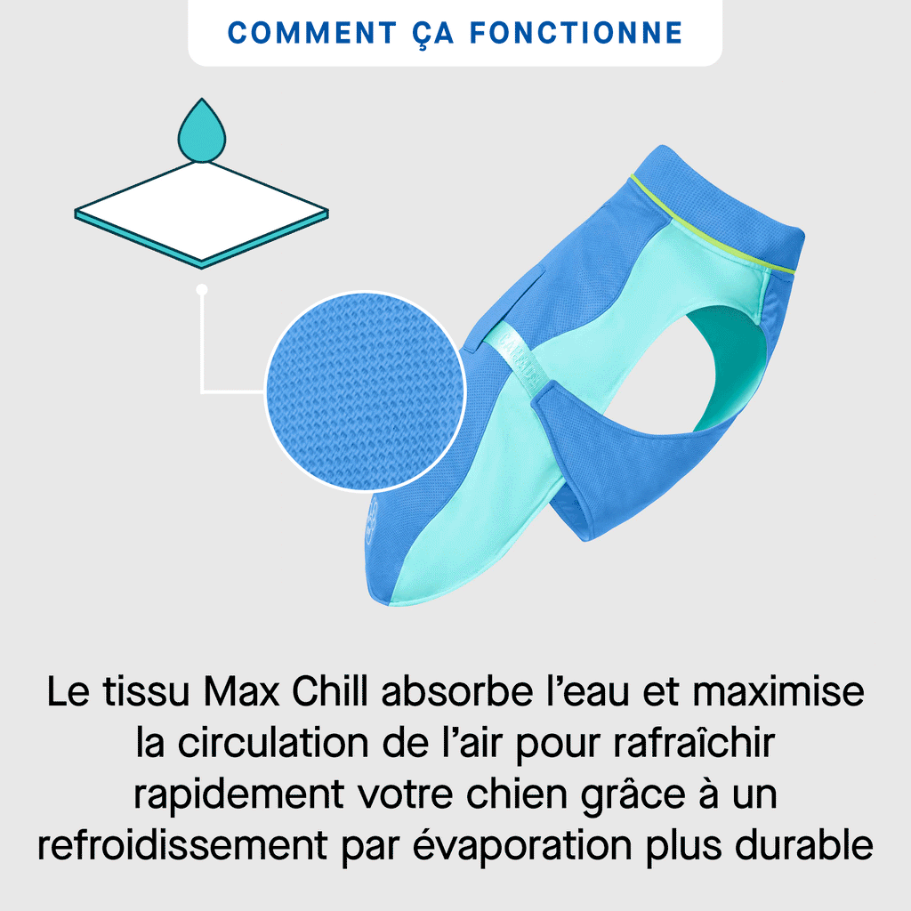 Max Chill Cooling Vest