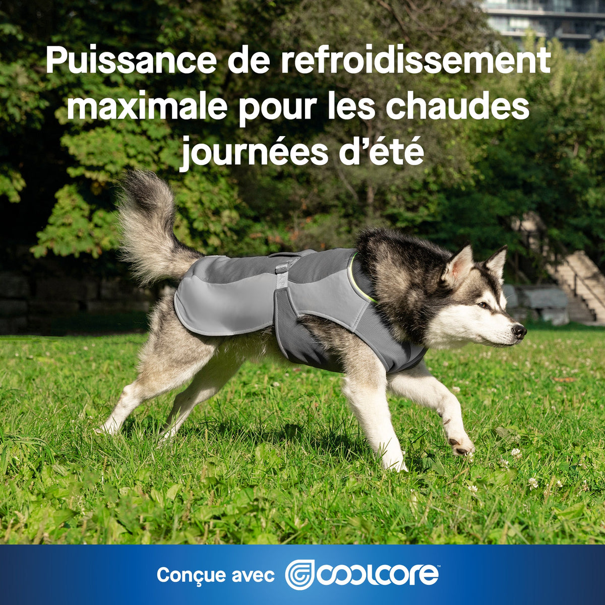 Max Chill Cooling Vest