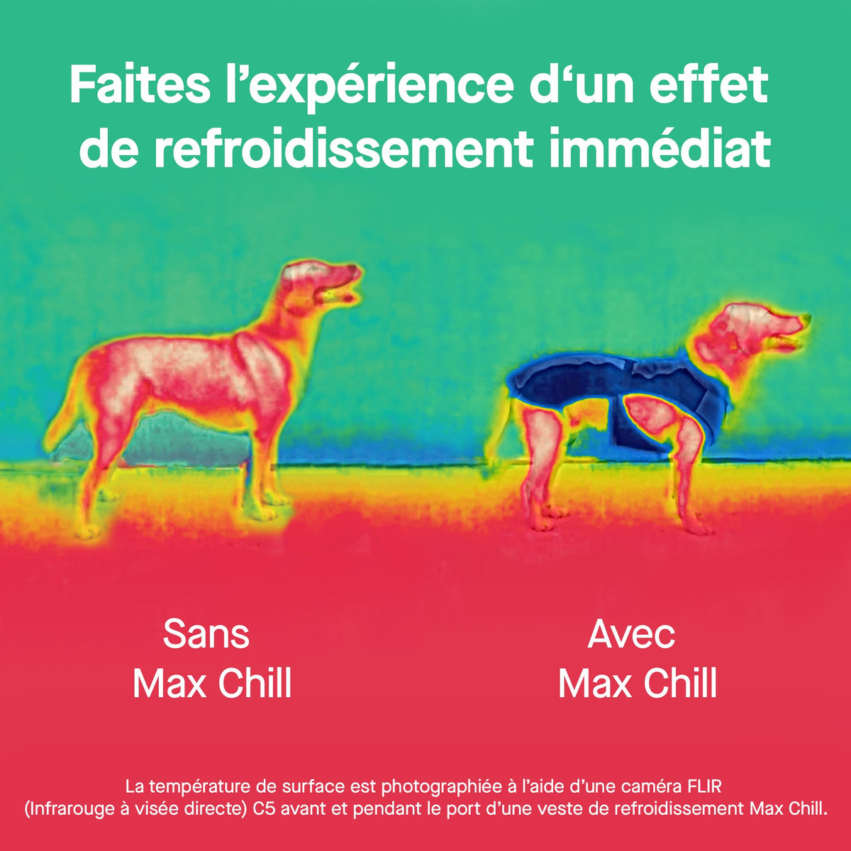 Max Chill Cooling Vest