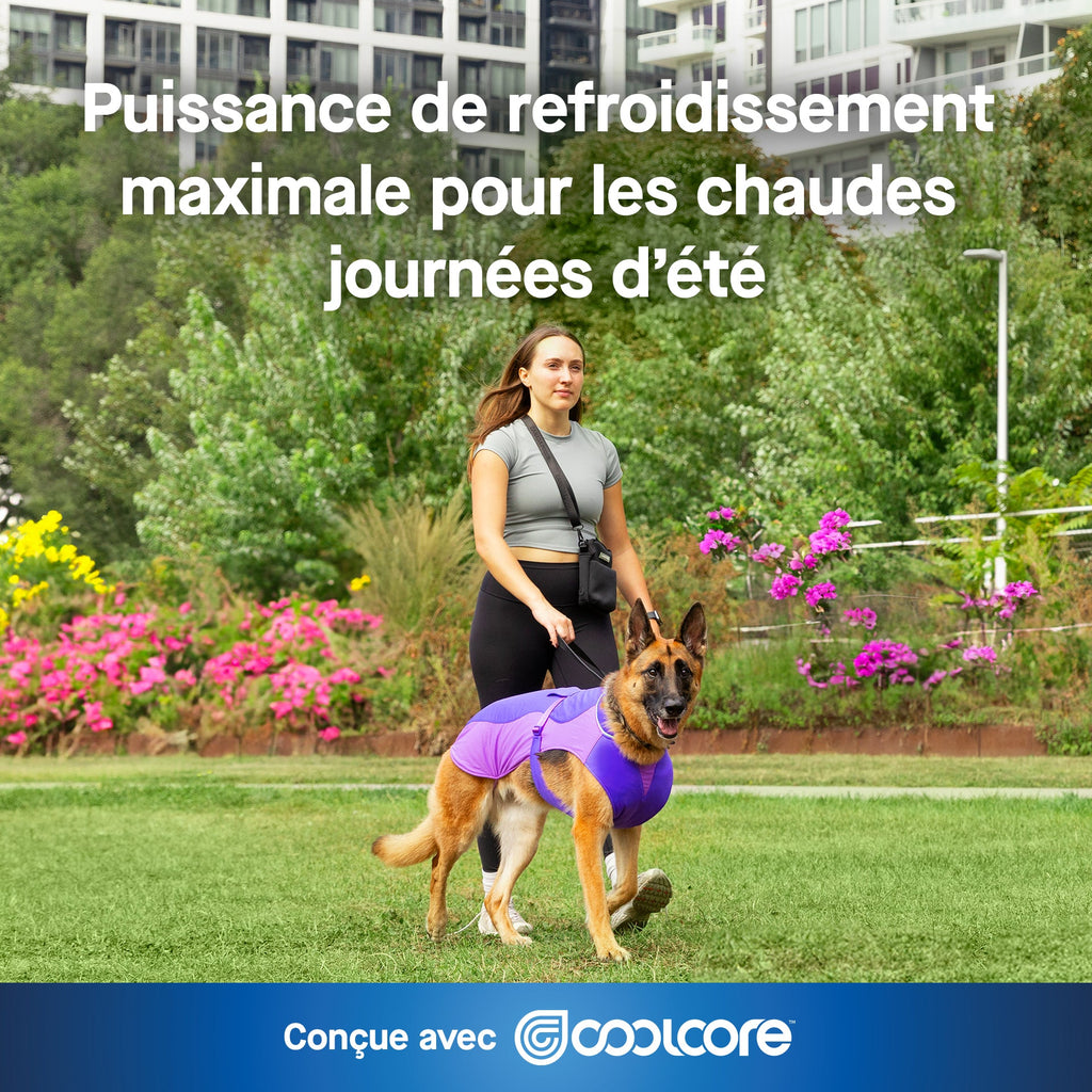 Max Chill Cooling Vest