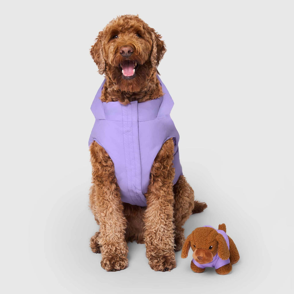 Mini-Me Pooch Pal