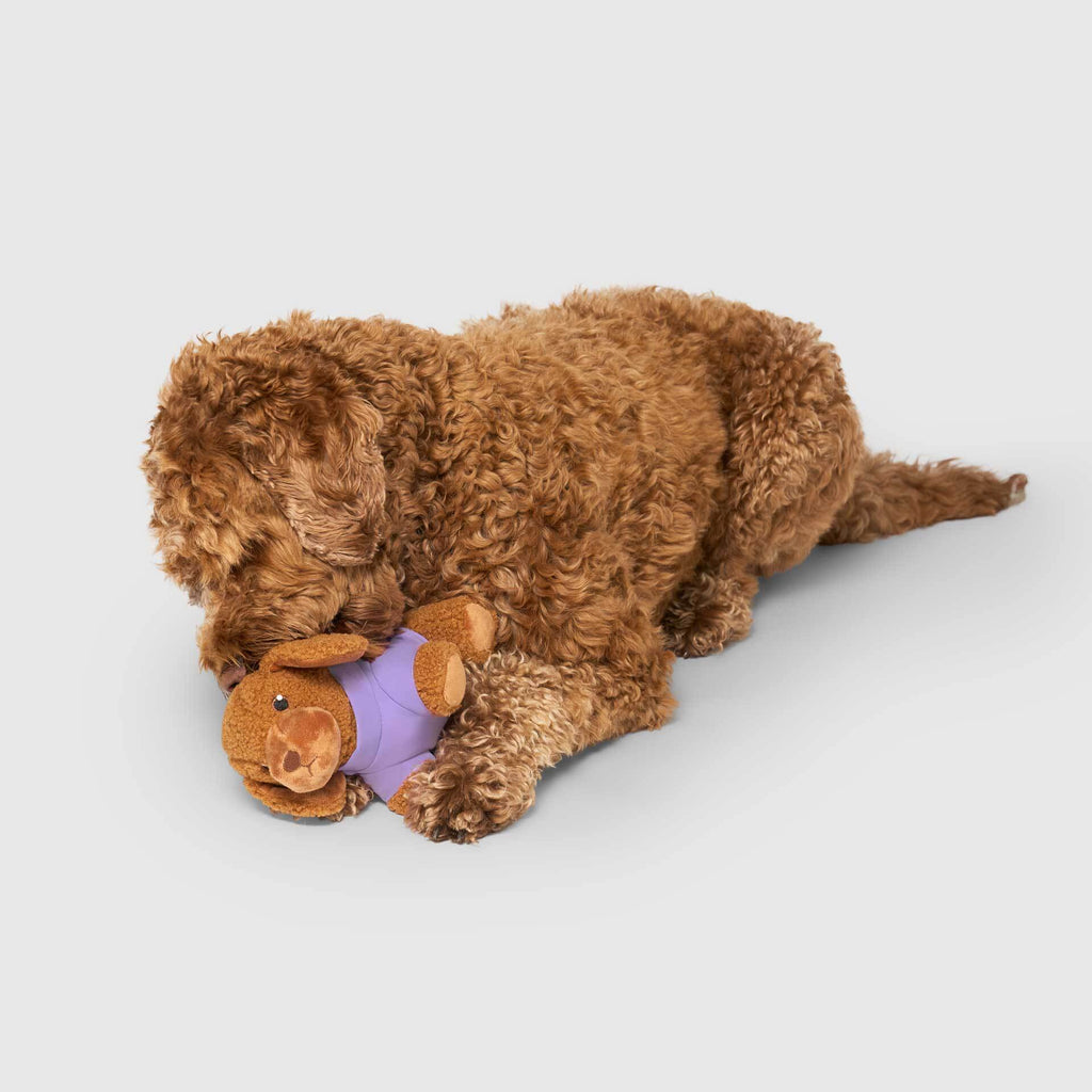 Mini-Me Pooch Pal