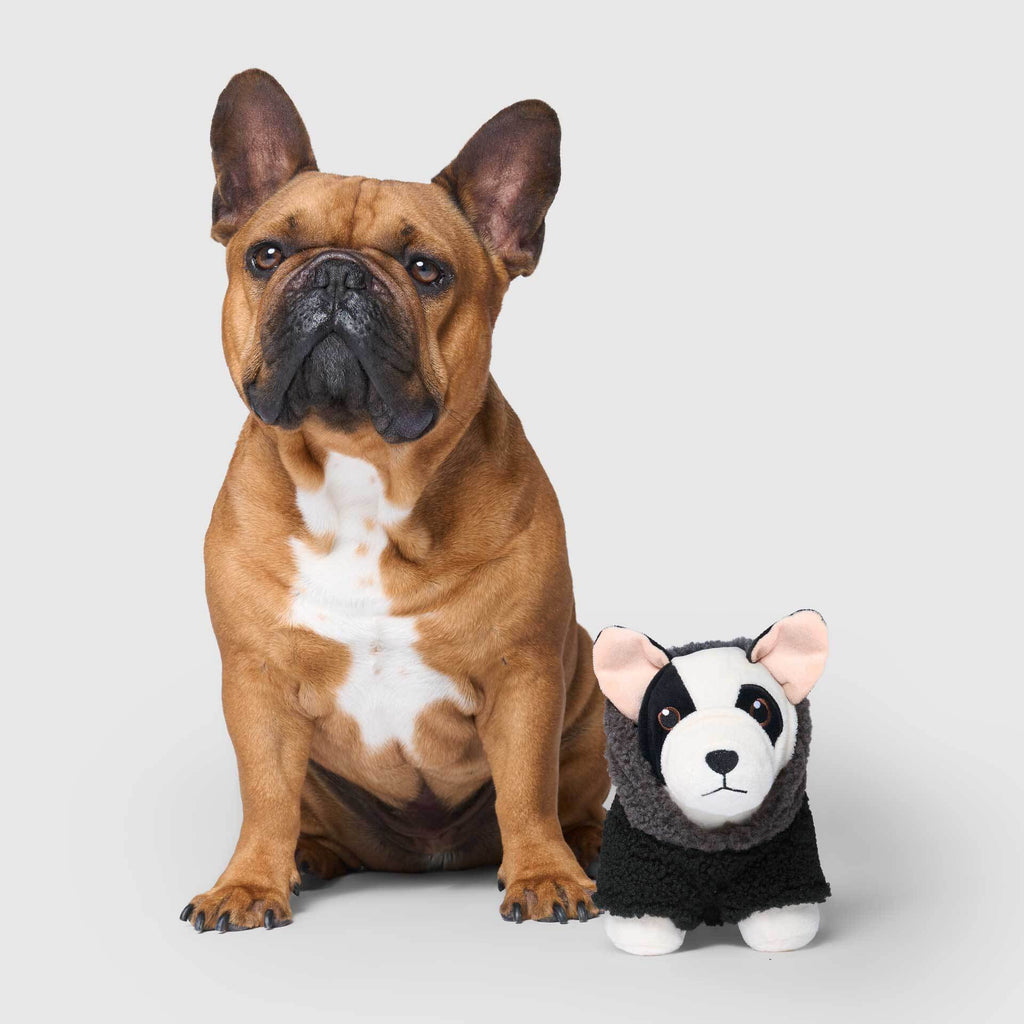 Mini-Me Pooch Pal