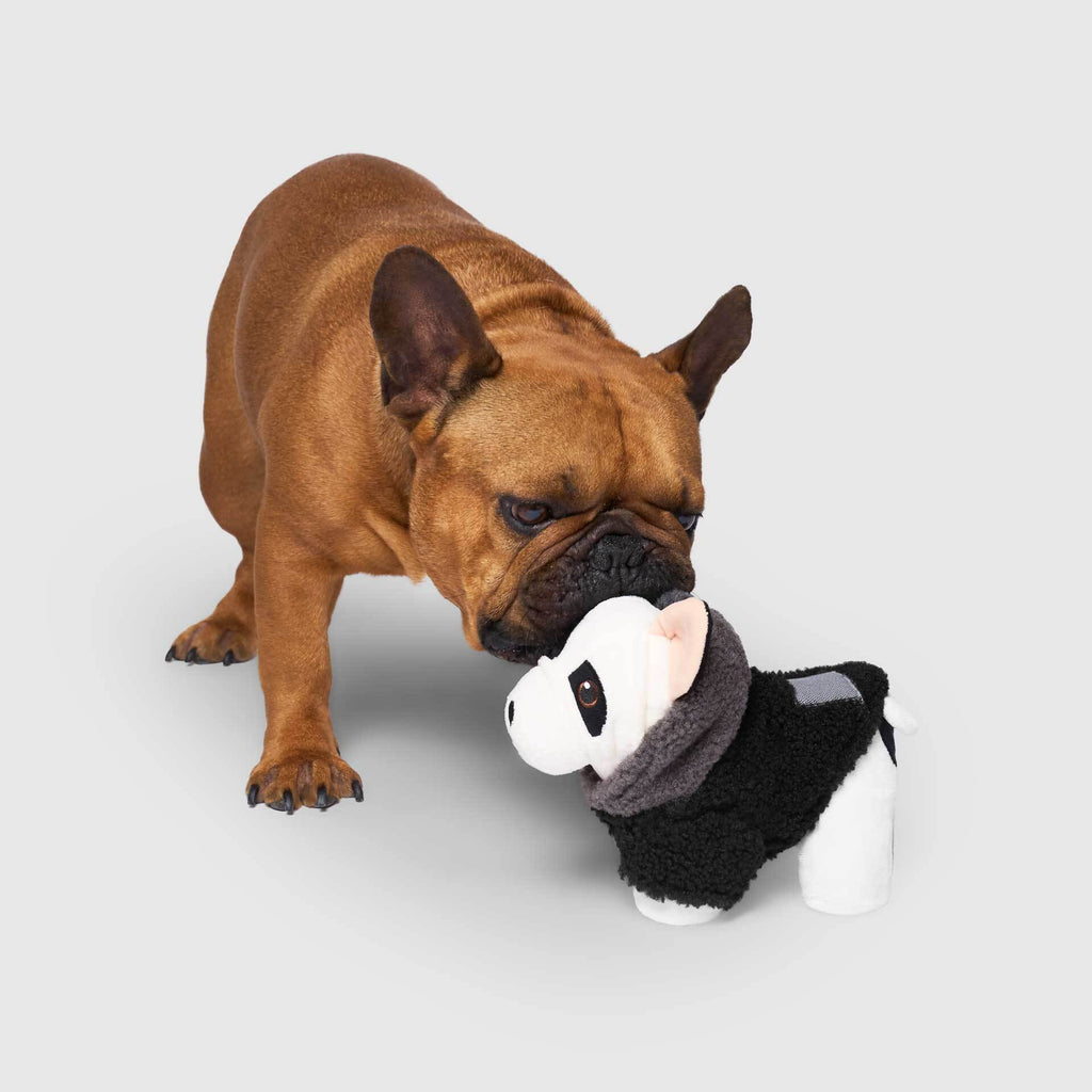 Mini-Me Pooch Pal
