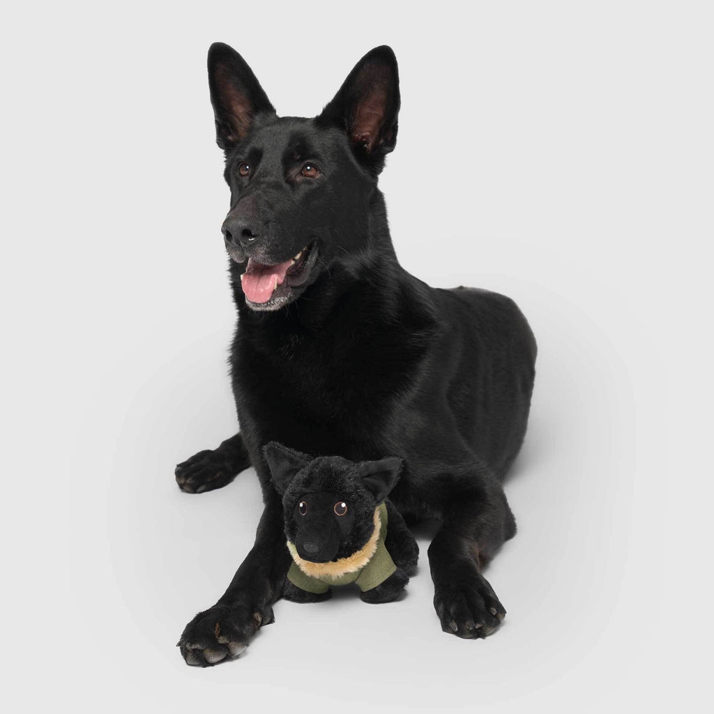 Mini-Me Pooch Pal