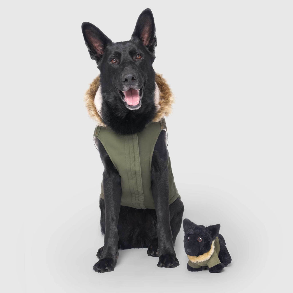 Mini-Me Pooch Pal