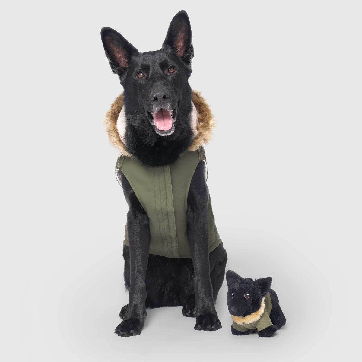 Mini-Me Pooch Pal