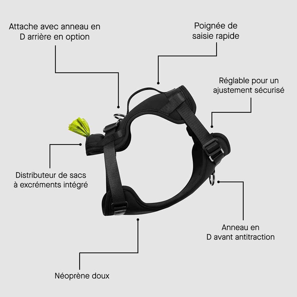 Neoprene Harness