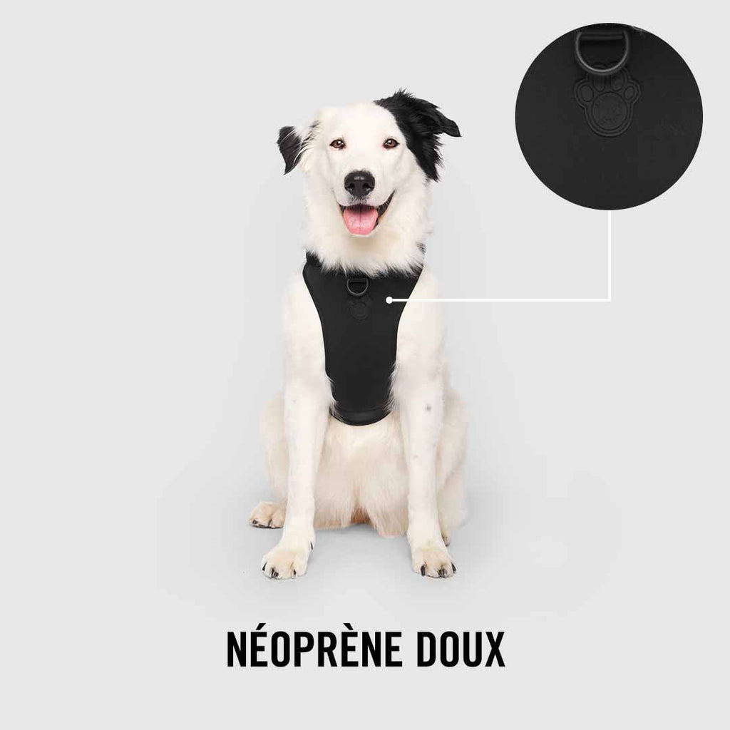 Neoprene Harness
