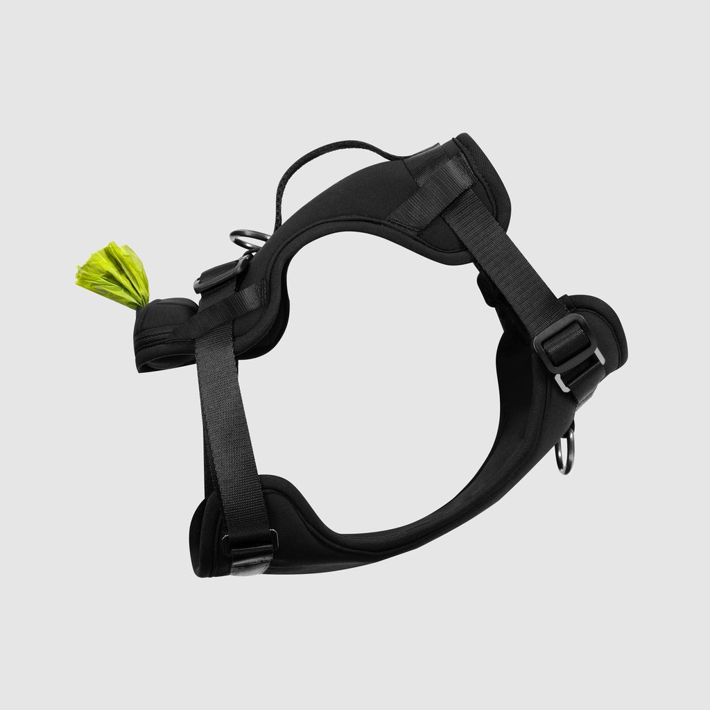 Neoprene Harness