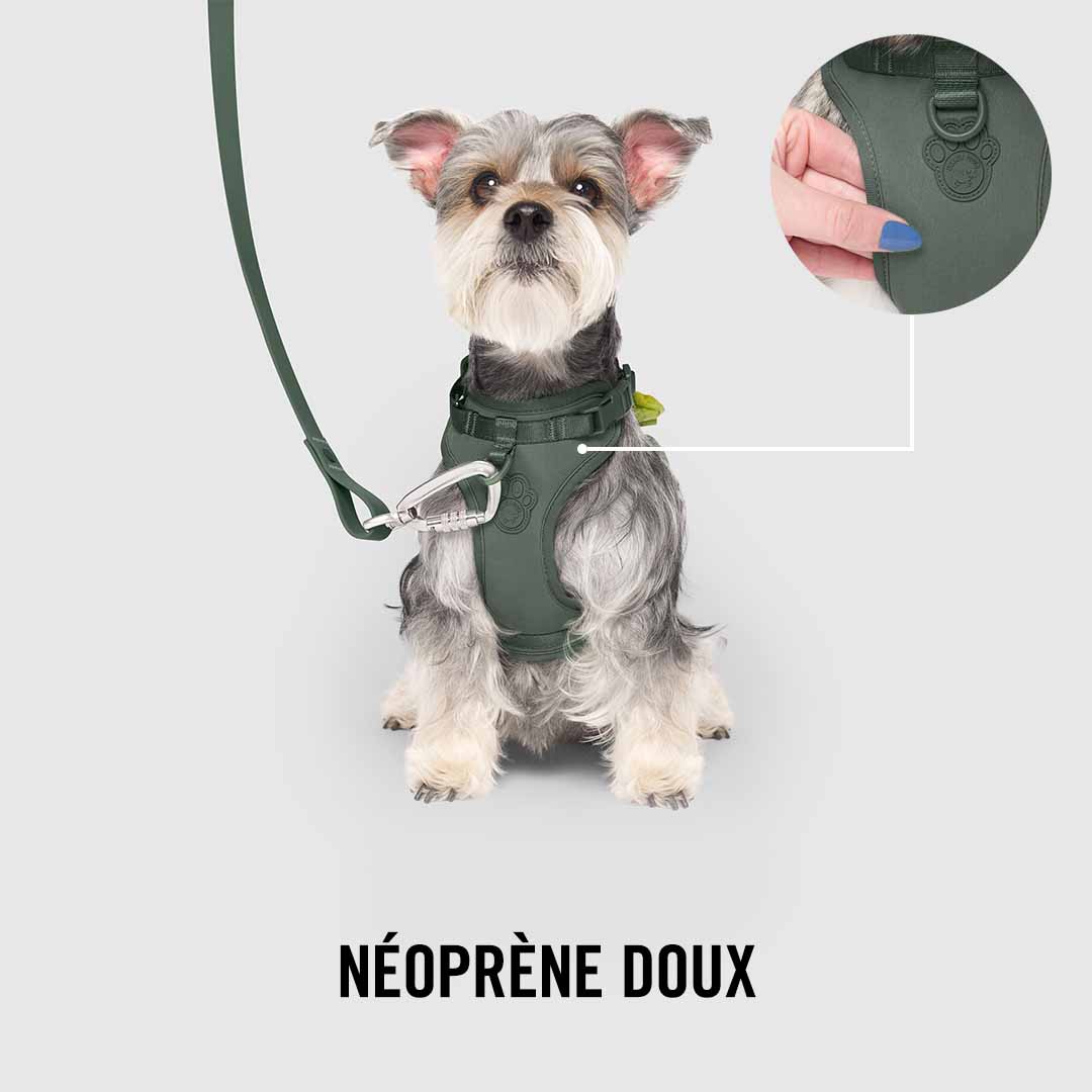 Neoprene Harness