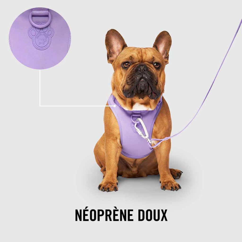 Neoprene Harness