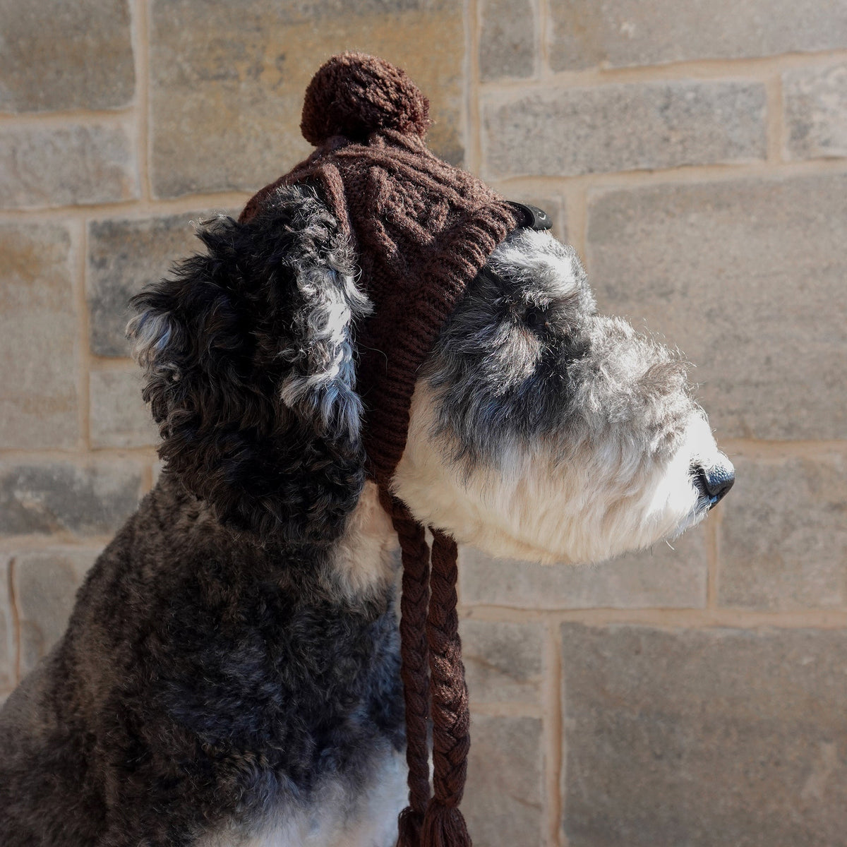Polar Pom Pom Hat