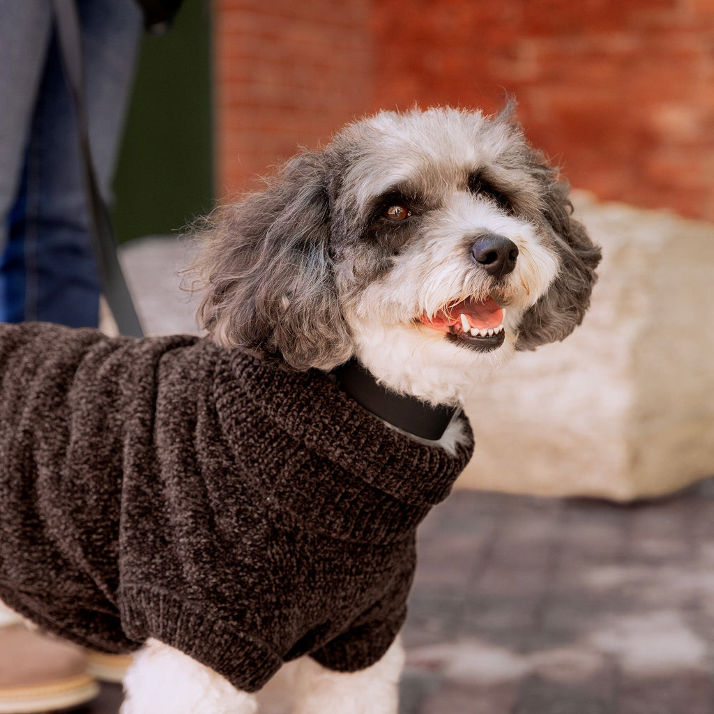 Soho Sweater
