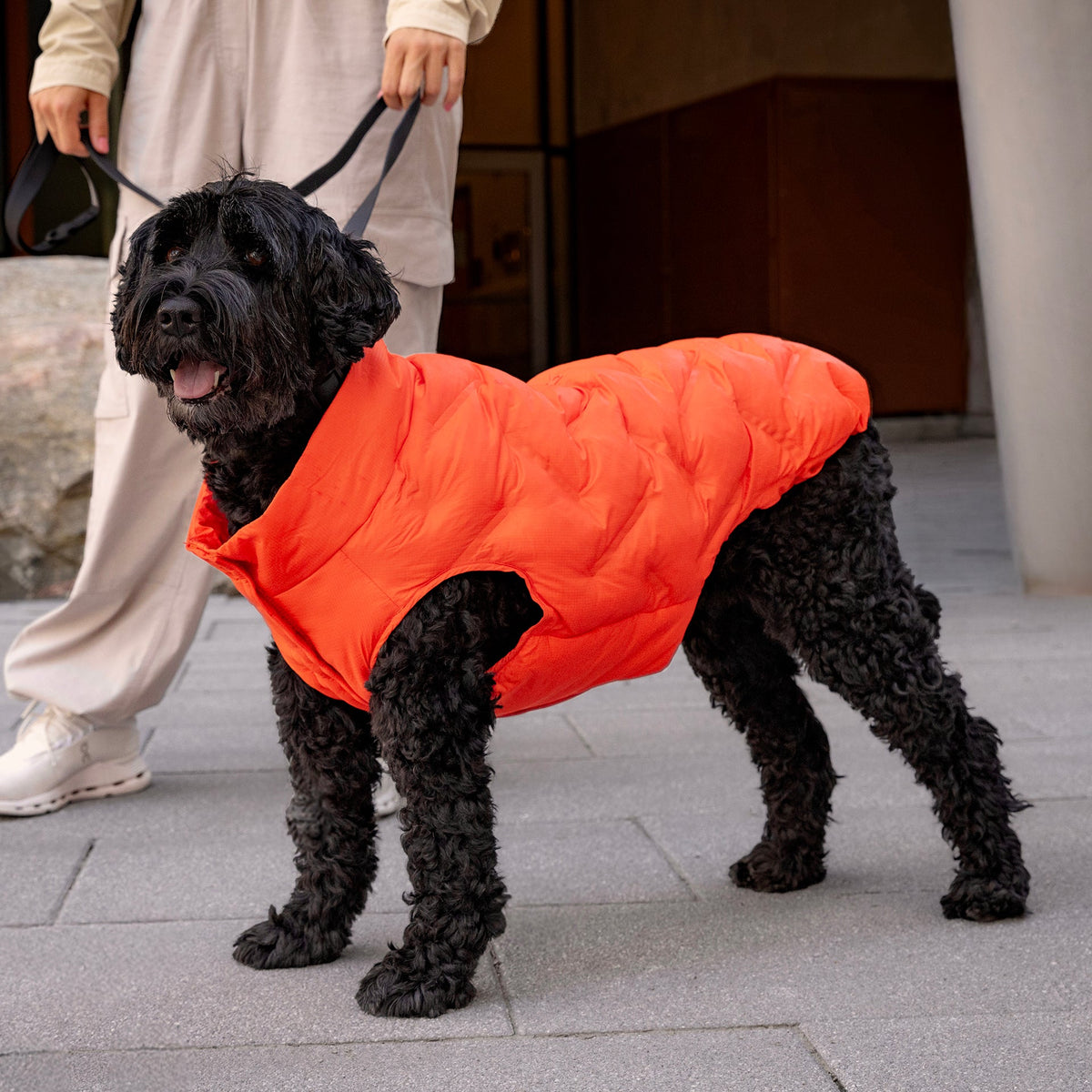 Waterproof Sport Puffer