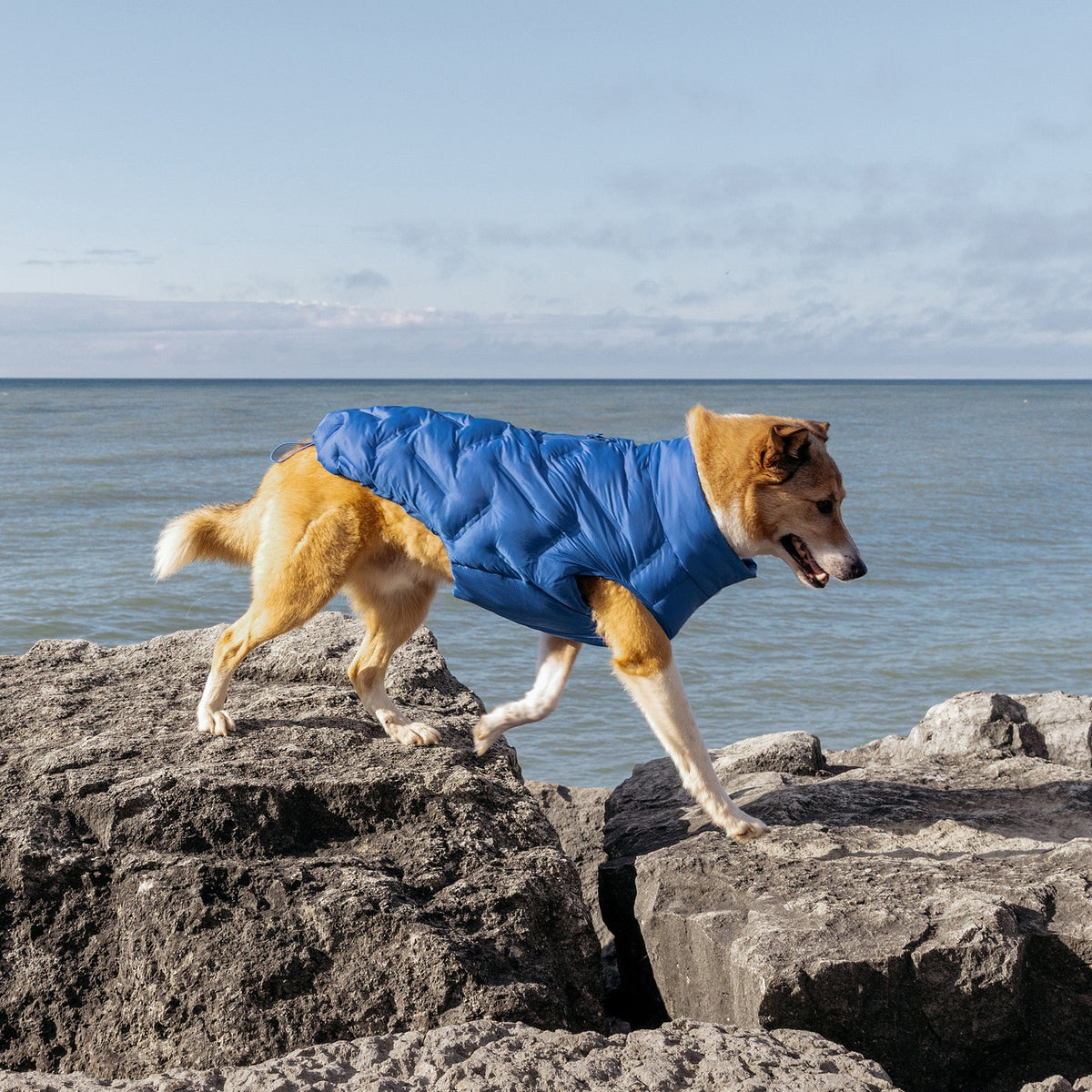 Waterproof Sport Puffer