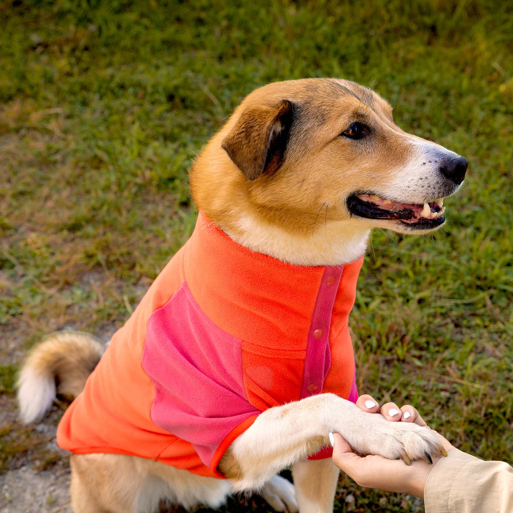 Weather-Resistant Fleece Pullover