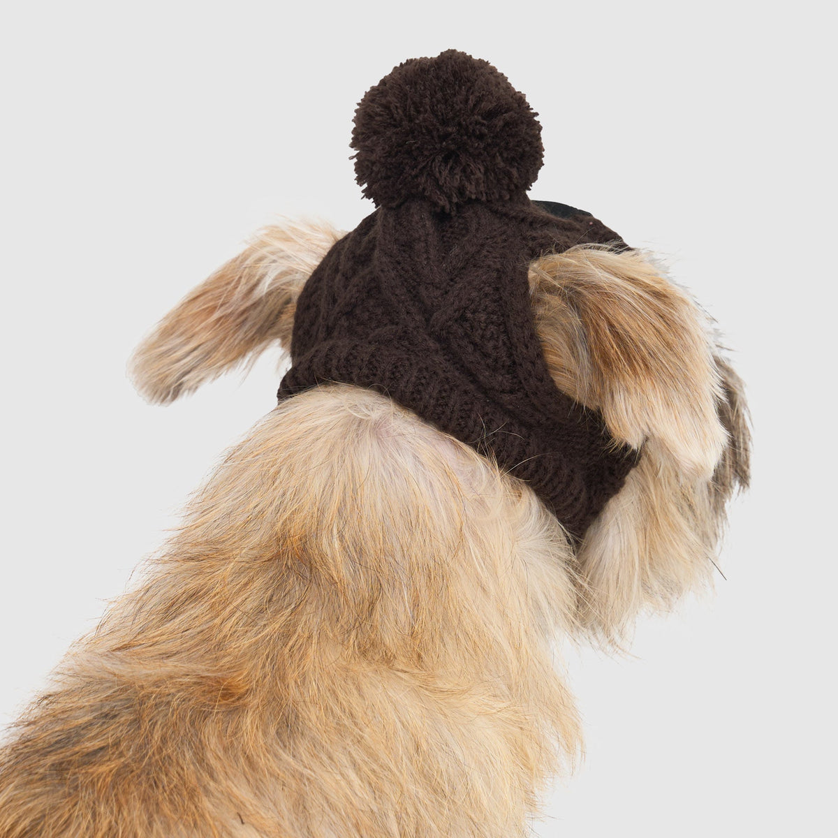 Polar Pom Pom Hat