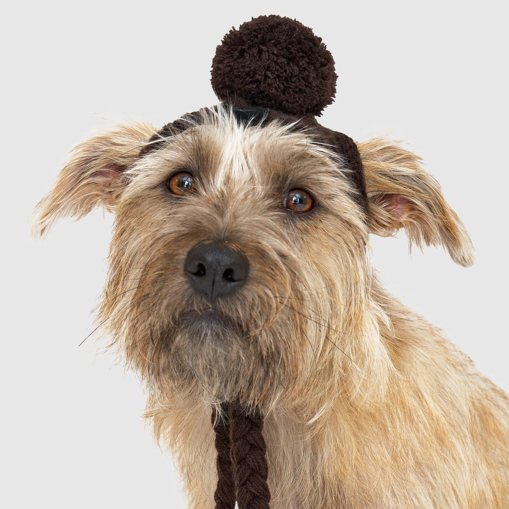 Polar Pom Pom Hat