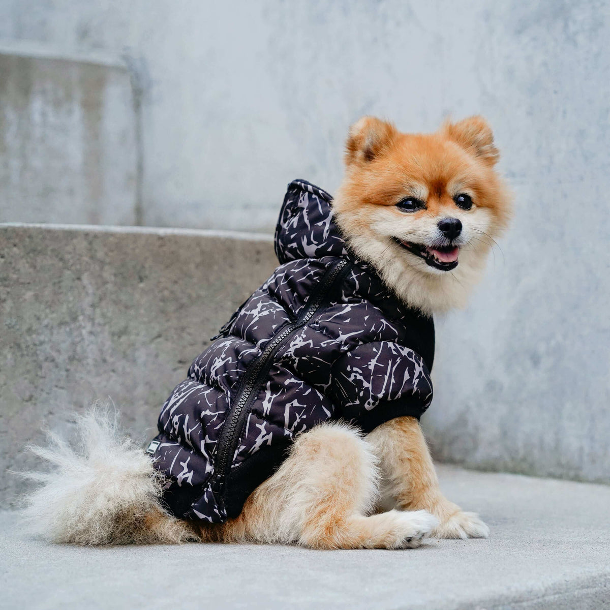 Prism Puffer