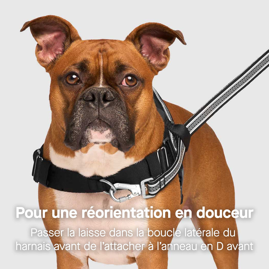 Re-Direct Harness