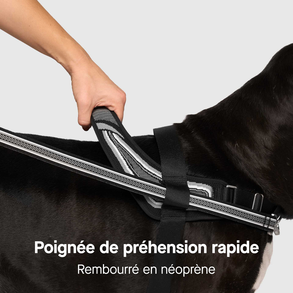 Re-Direct Harness