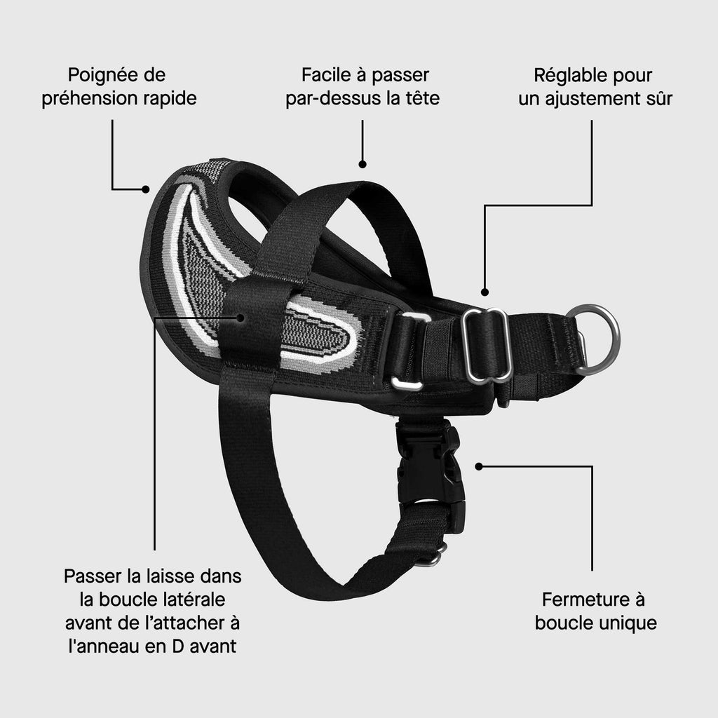 Re-Direct Harness