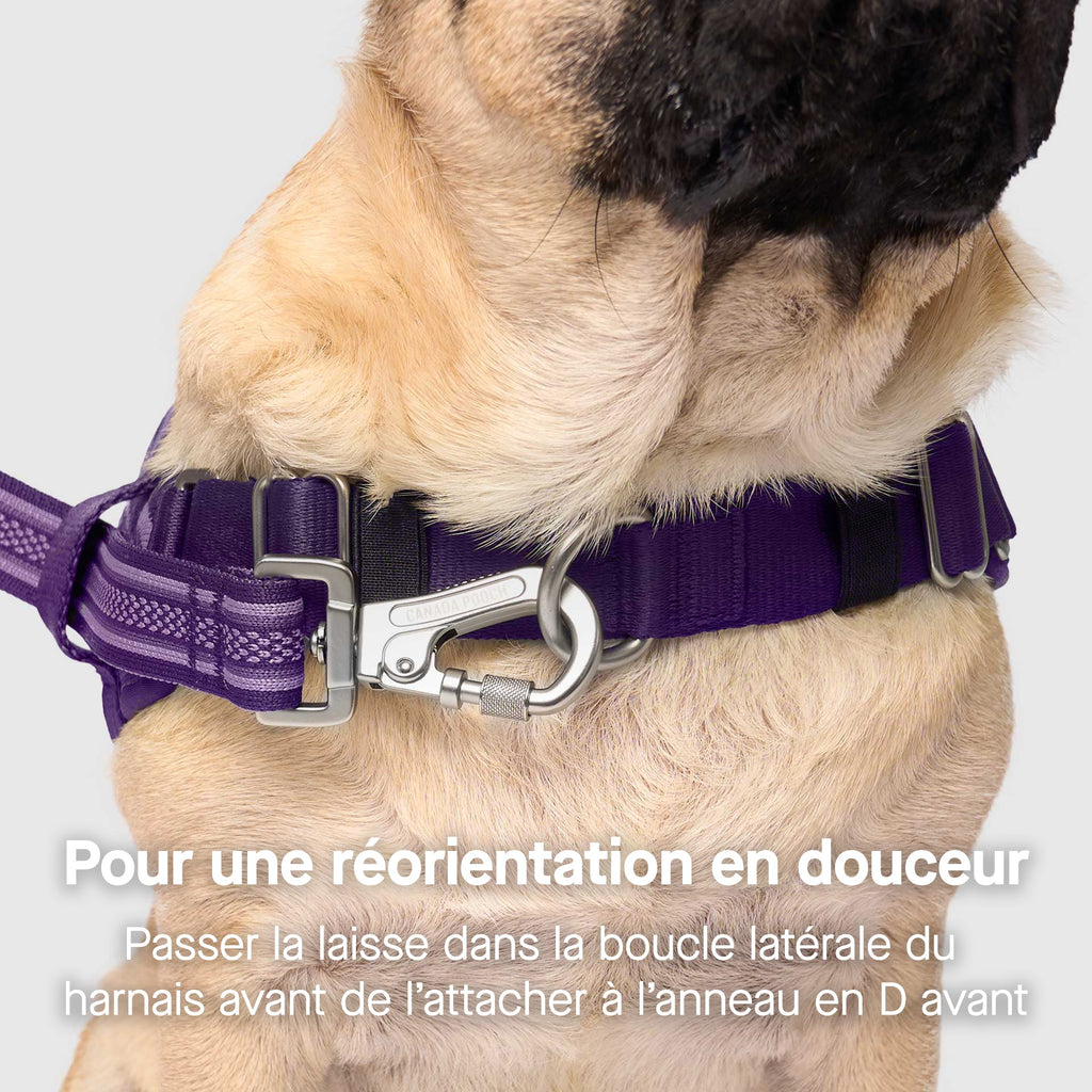 Re-Direct Harness