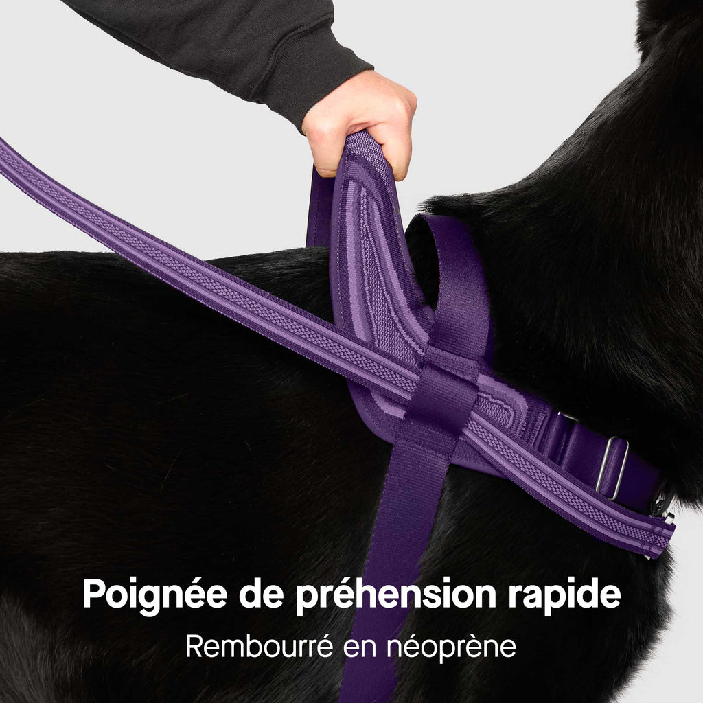 Re-Direct Harness