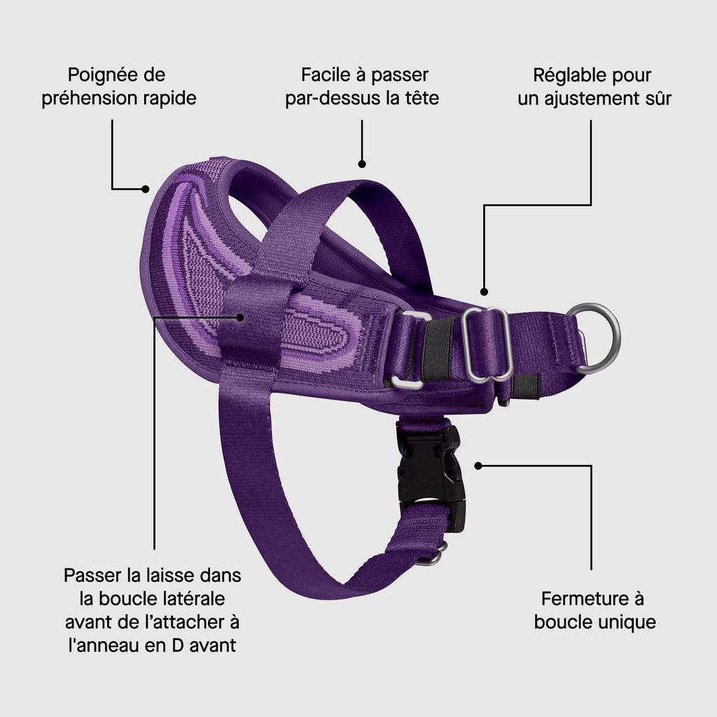 Re-Direct Harness