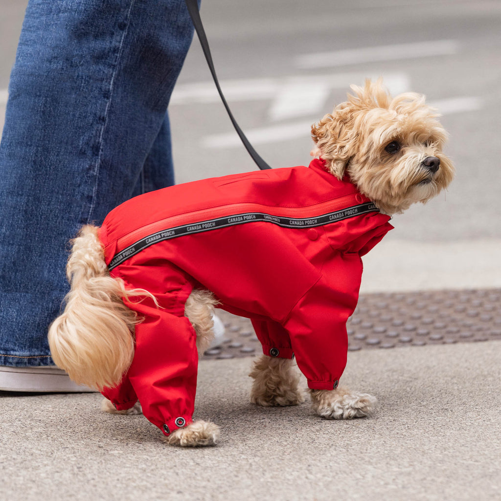 Slush Suit
