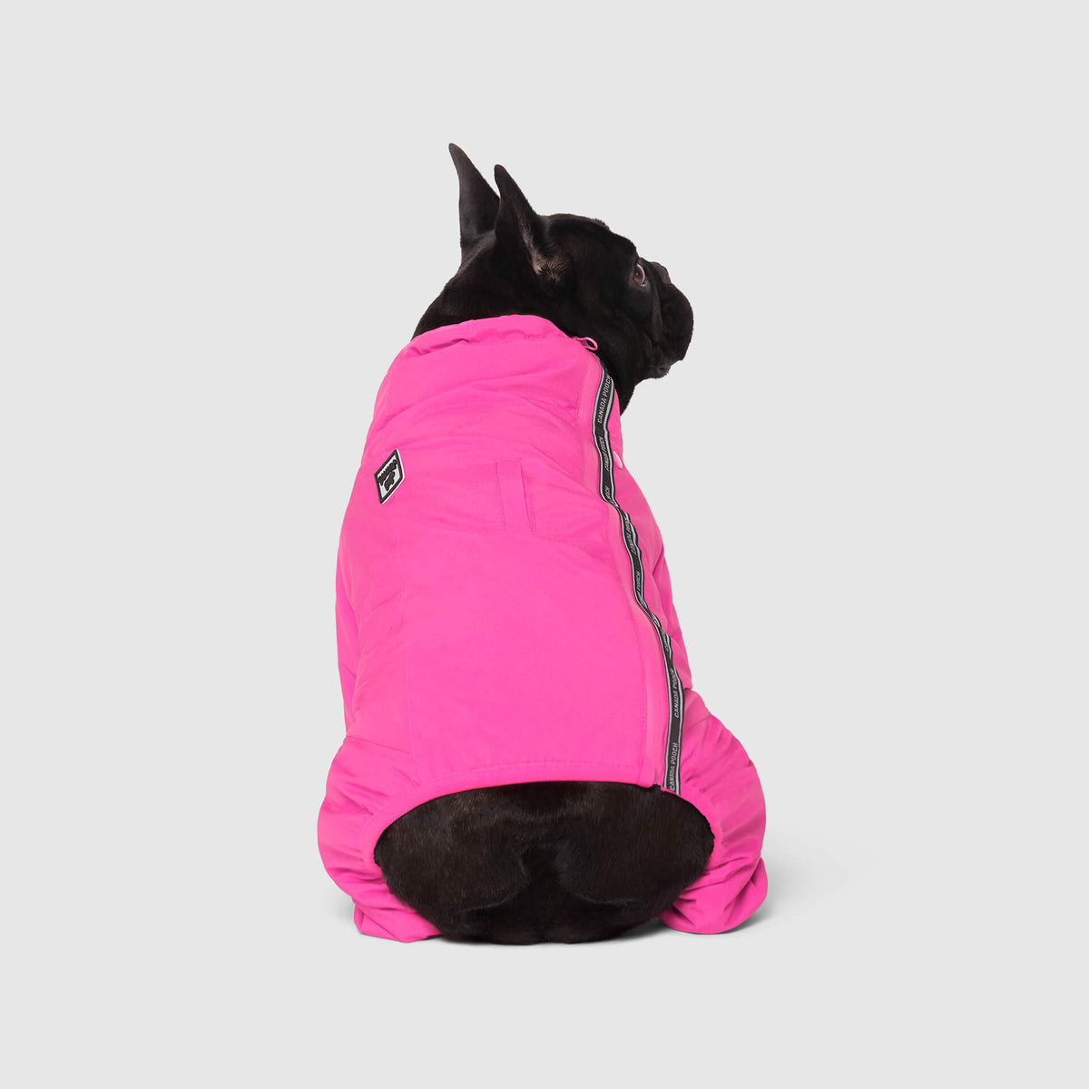 Snow Suit