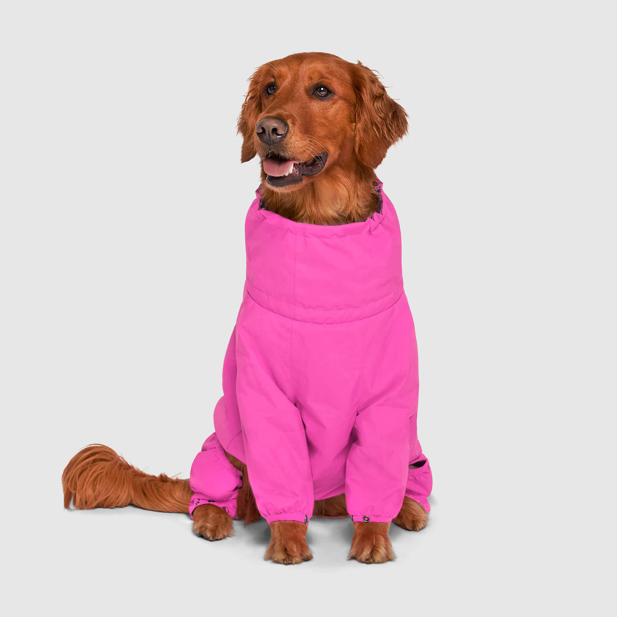 Snow Suit