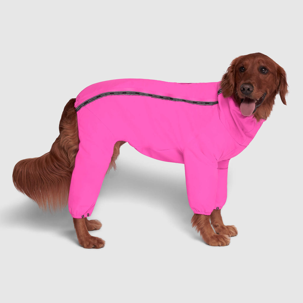 Snow Suit