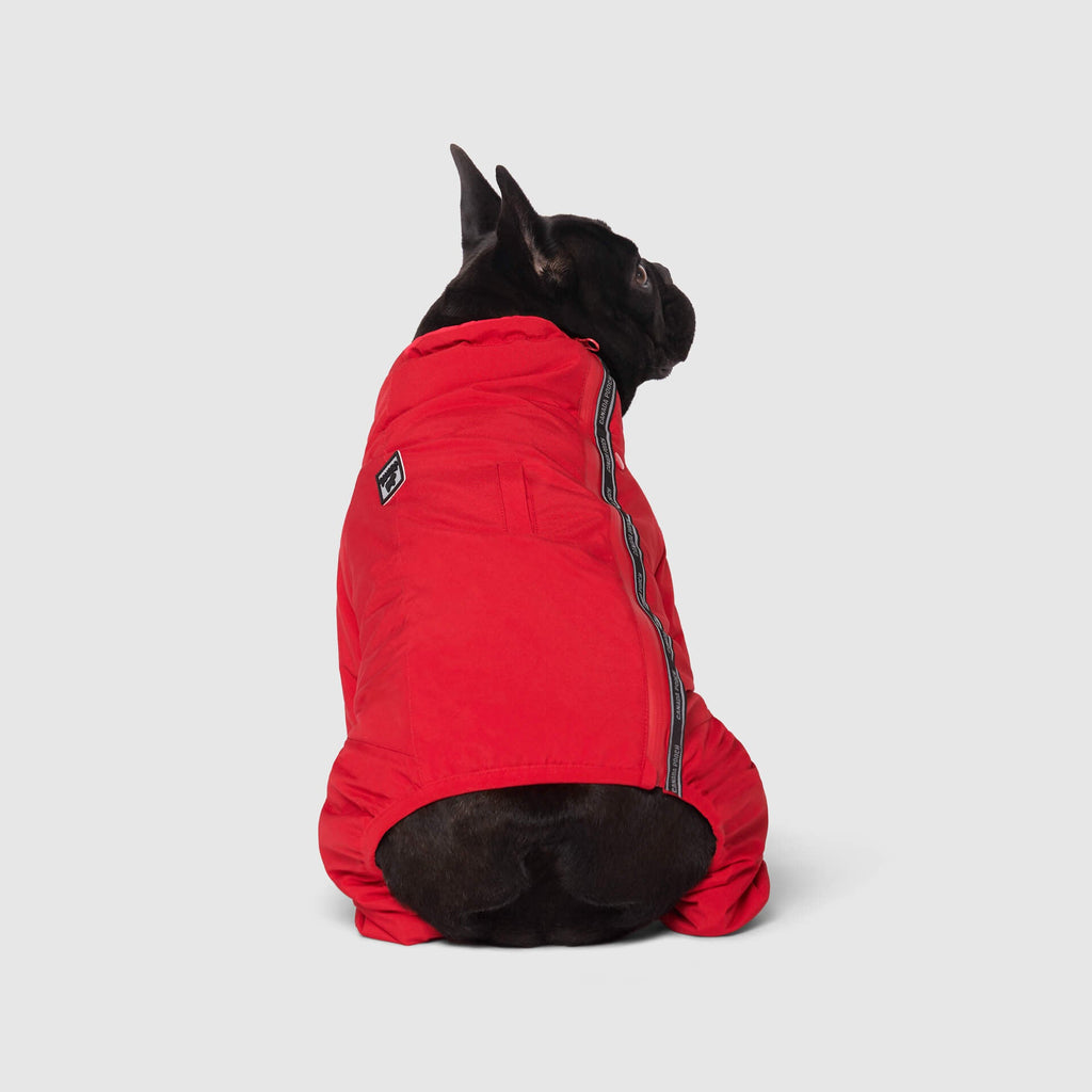 Snow Suit