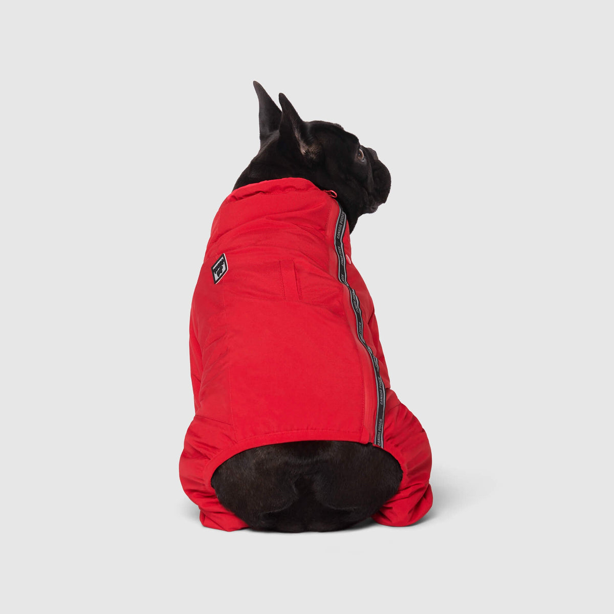 Snow Suit