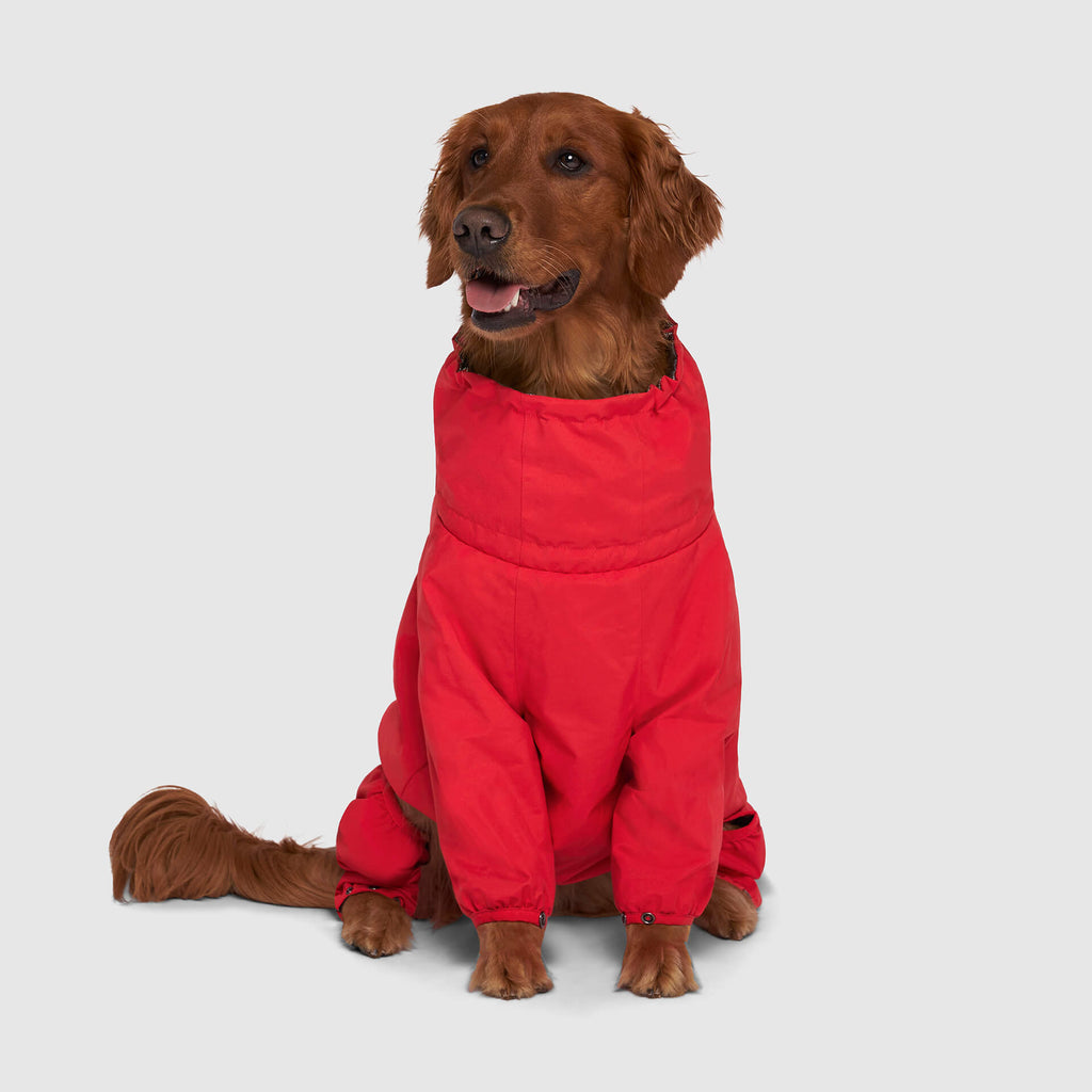 Snow Suit