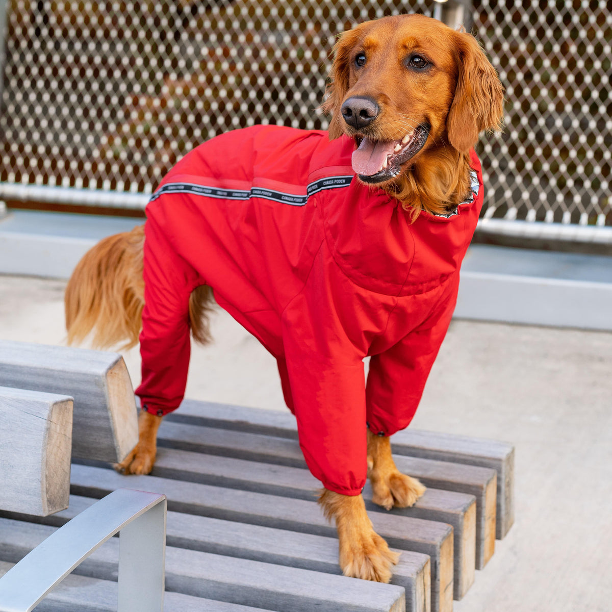 Snow Suit