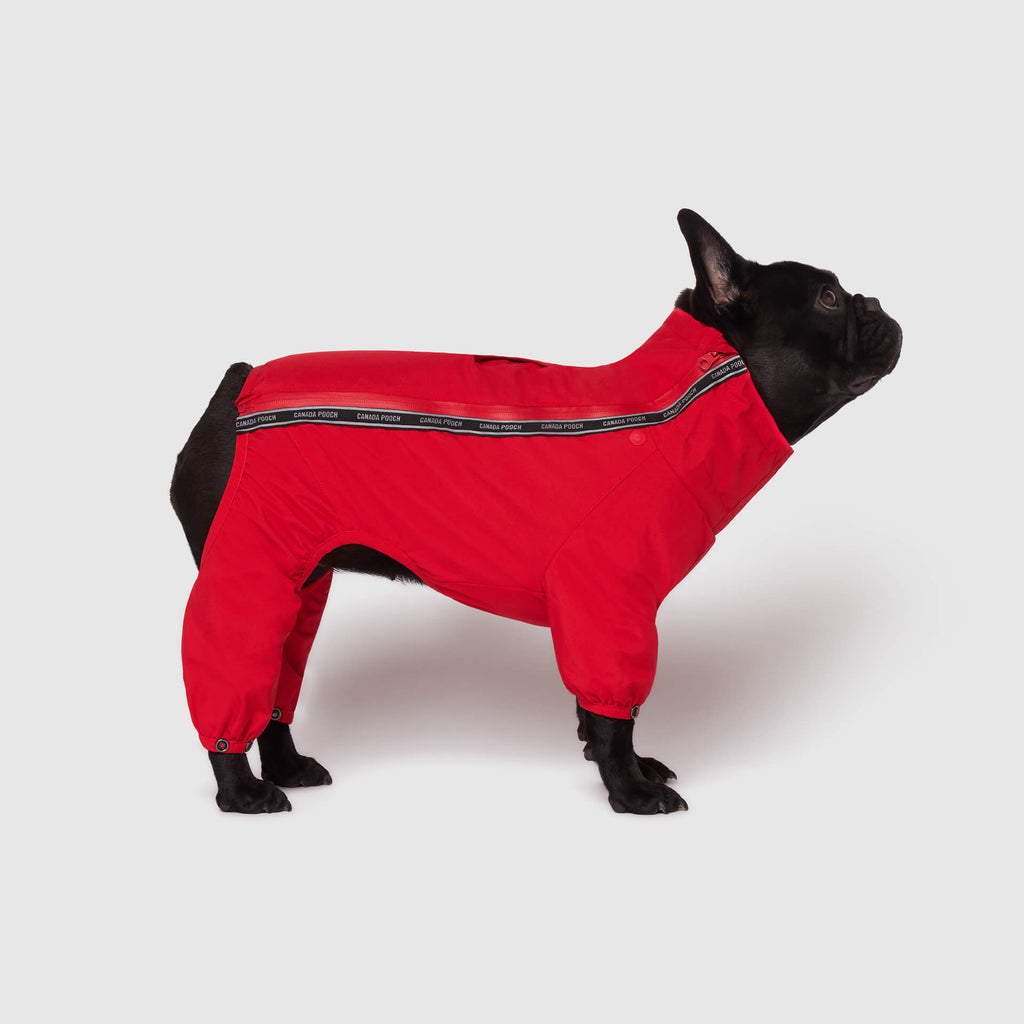Snow Suit