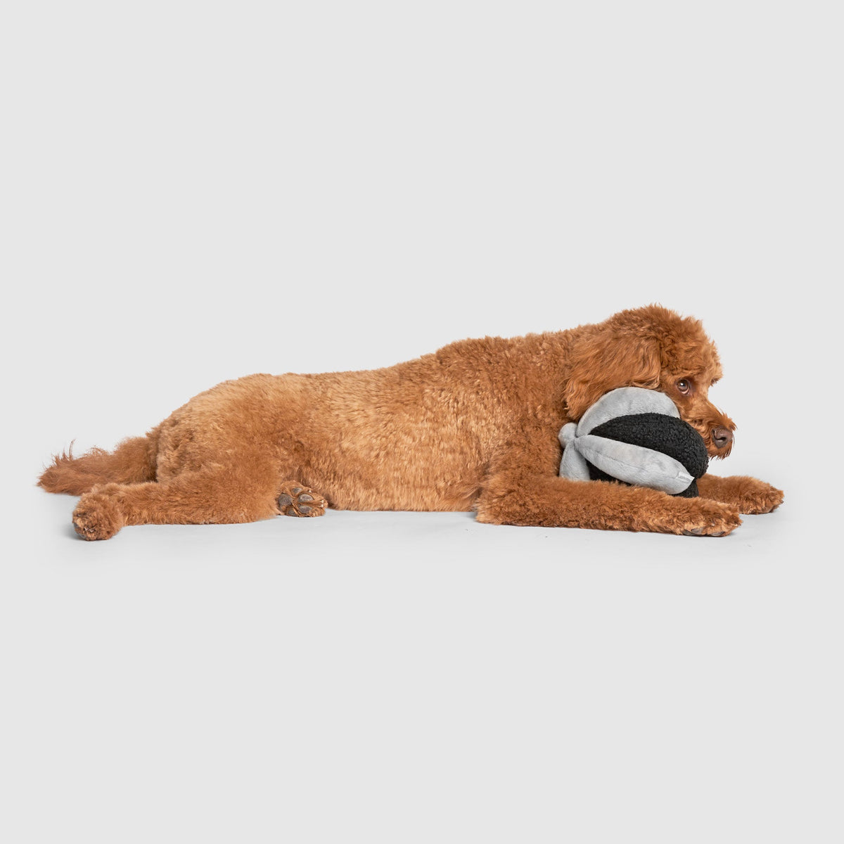 Snuffle Ball Toy