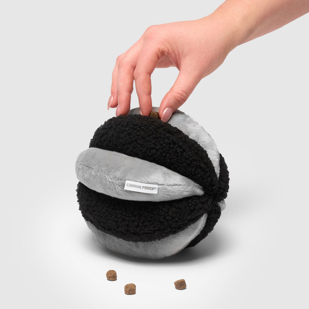Snuffle Ball Toy