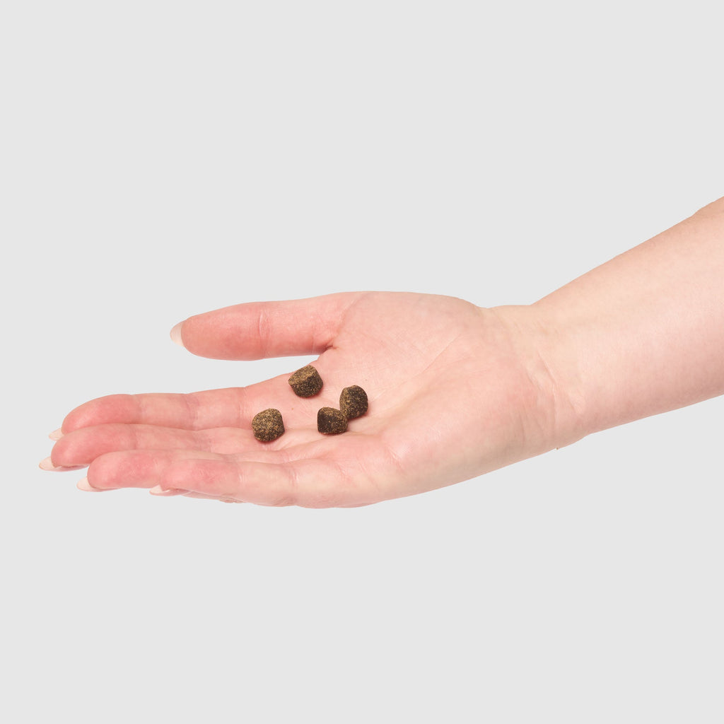 Snuffle Ball Toy