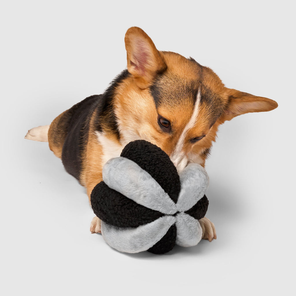 Snuffle Ball Toy