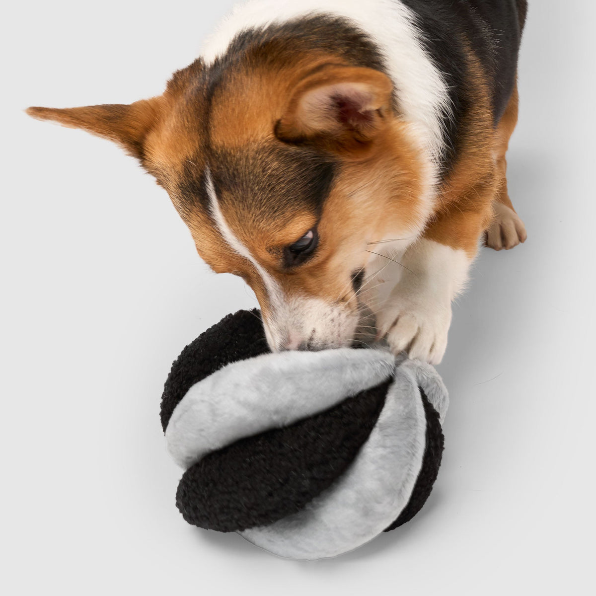 Snuffle Ball Toy