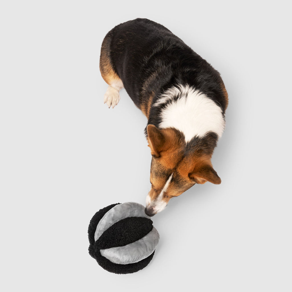 Snuffle Ball Toy