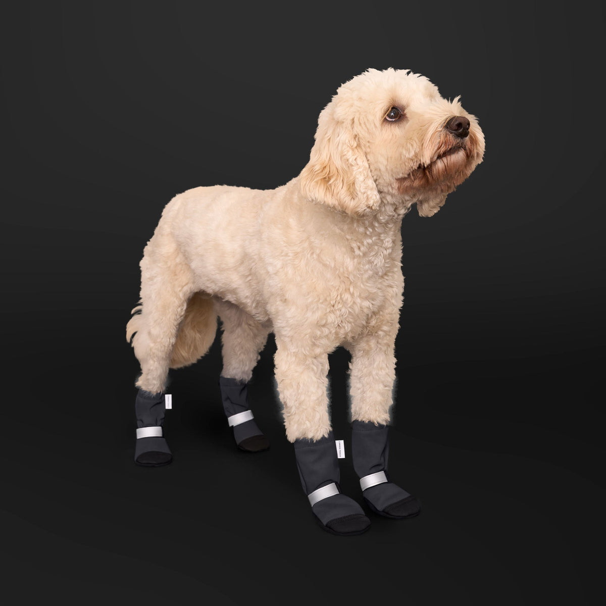 Soft Shield Boots